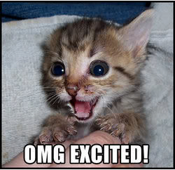 wedding-save-the-date-excited-kitten-cat.png