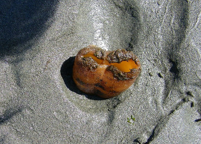 100_1654.jpg