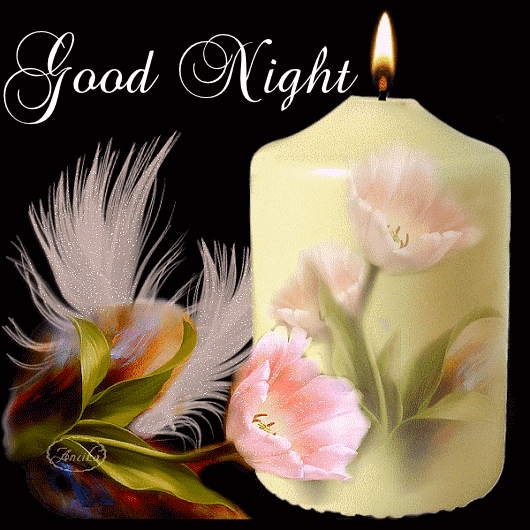 729cdc9f0d1bd2a5dffab28460b5ab1c.gif