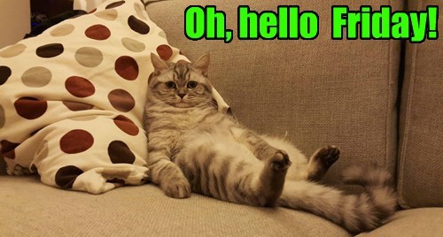 youve-arrived-just-in-time