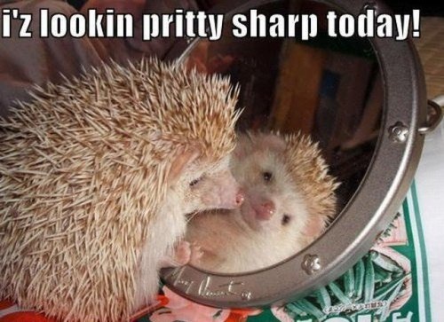 cute-captions-0.jpg