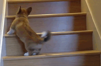 7bYWRw9.gif