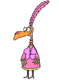 cancan-turkey.gif