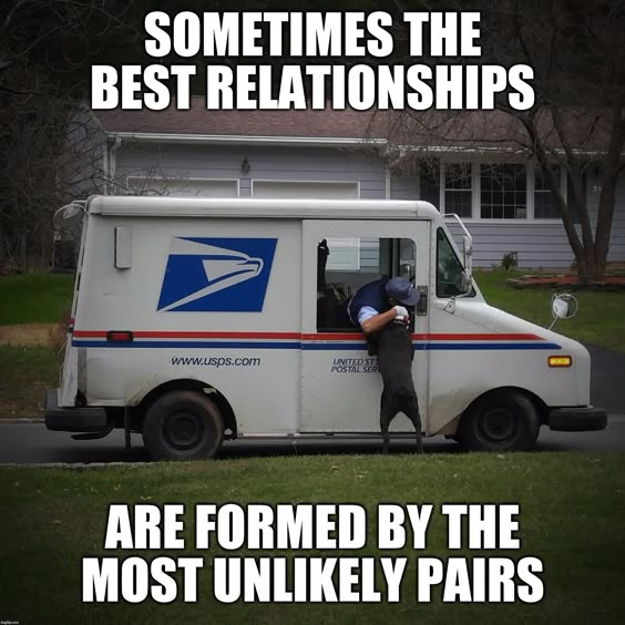 a3b26bba04311147bb47943bda714f5d.jpg