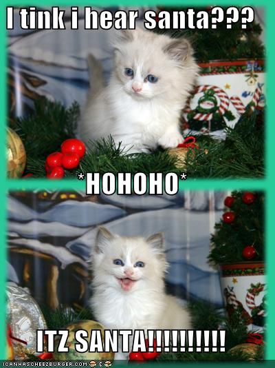 Christmas+Cat.jpg