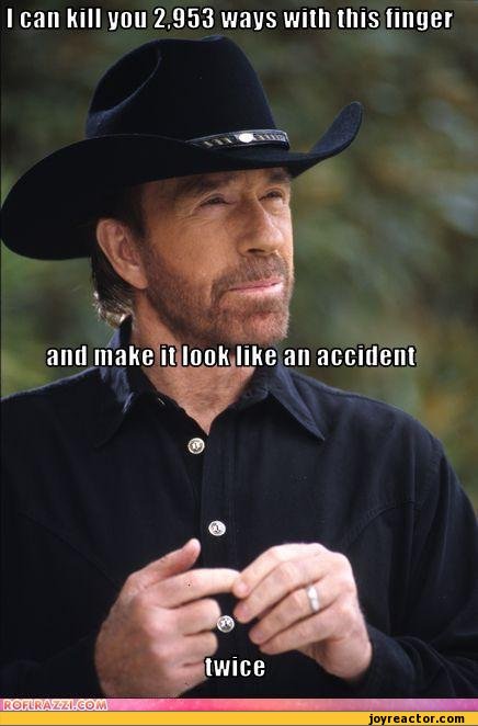funny-pictures-auto-chuck-norris-finger-480821.jpeg