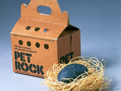 pet-rock.jpg