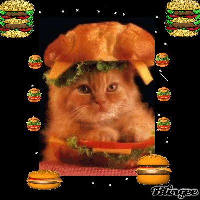 449706566_693503.gif
