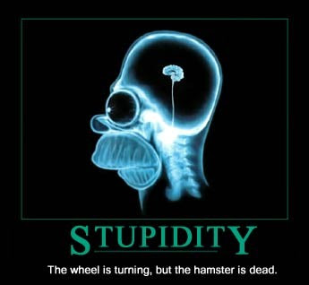stoopid.jpg