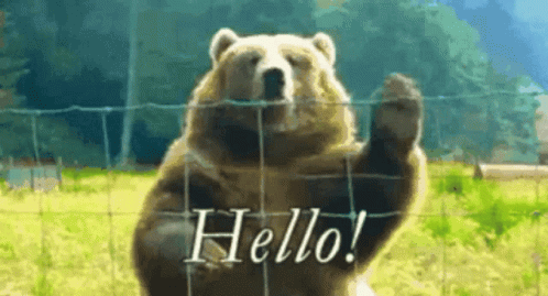 hello.gif