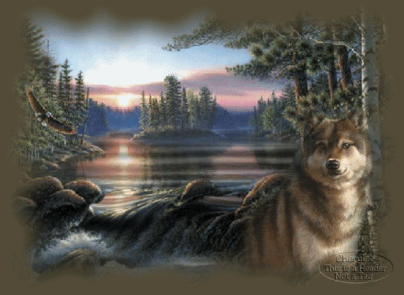 9d33b556c4382689ff60ce97ee65afe3.gif