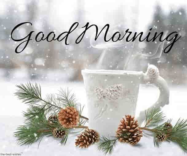 27989022763145816658f361eebf8cbe.jpg
