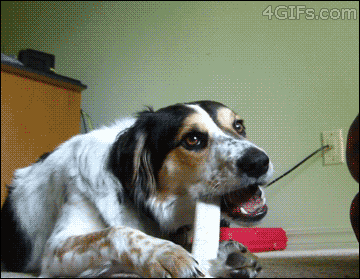X2LocGD.gif