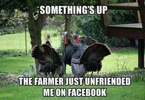 funny-thanksgiving-jokes.jpg