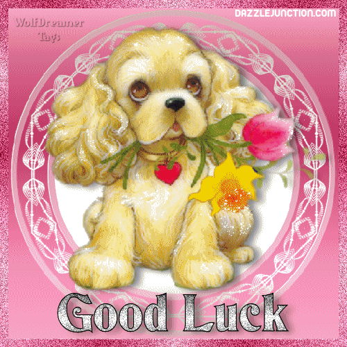 Good_Luck_(8).gif