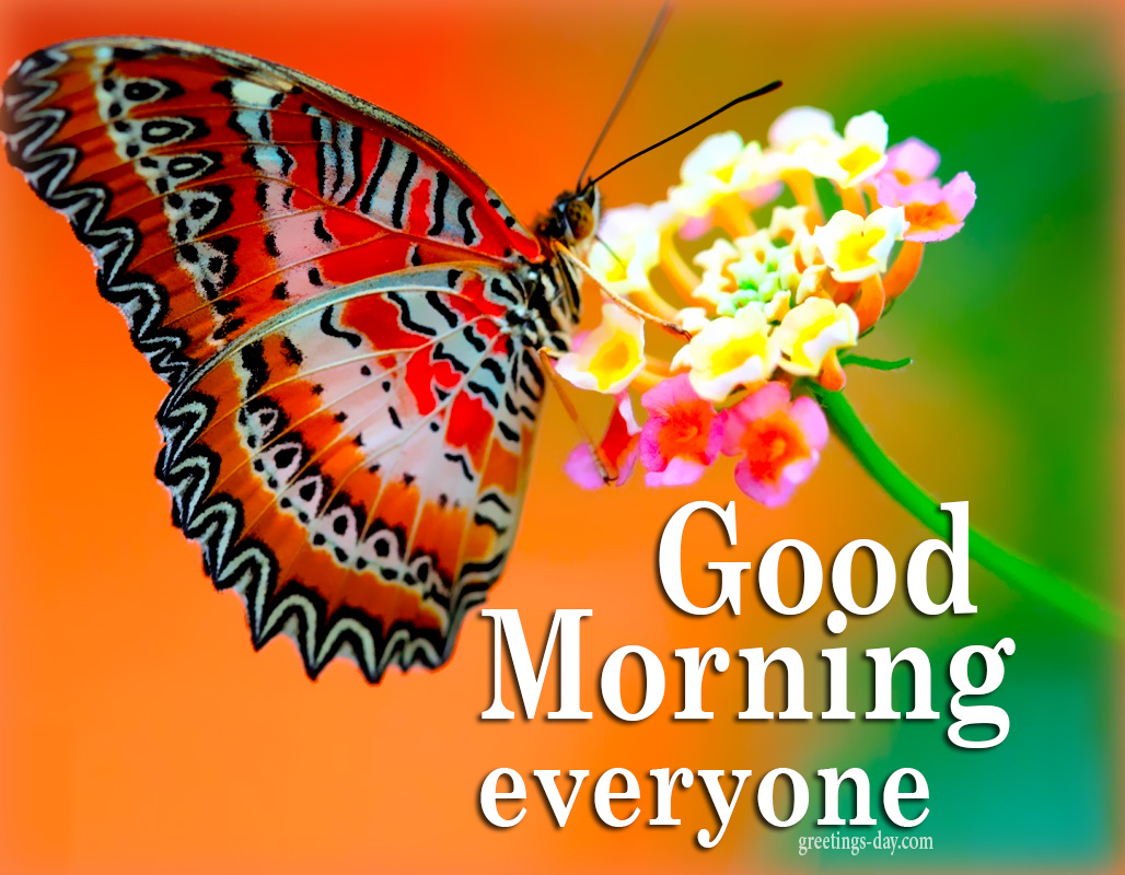 good-morning-everyone-1.jpg