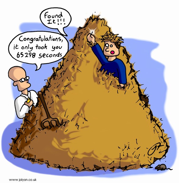 needle_in_the_haystack.jpg