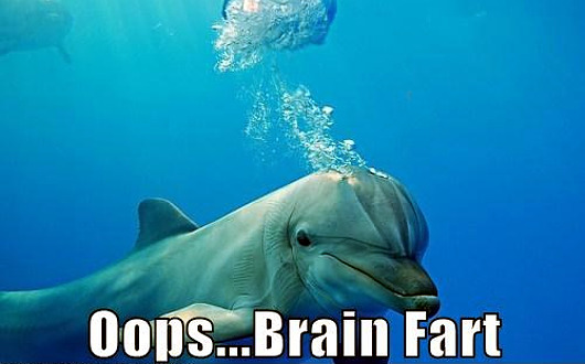 dolphin-brain-fart.jpg
