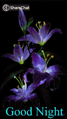 c57d416416074fb06175a166381bd43a.gif