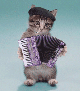 animal_gifs_10.gif