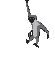 Tiny-animated-baboon-swinging-on-branch.gif