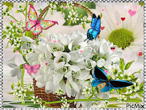 c3c7ed43f457670c26ade0d92862c52f.gif