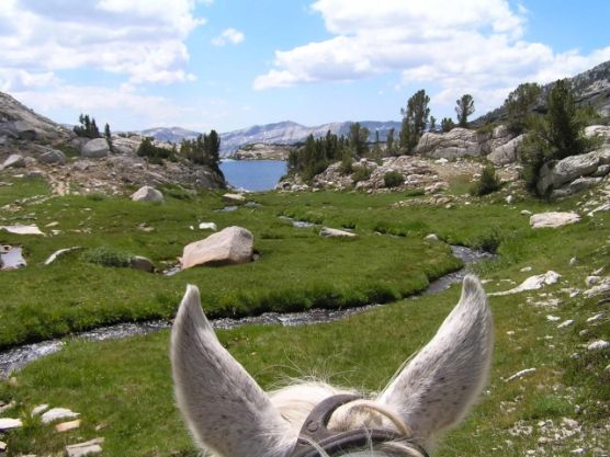 Horse-ears-and-view-from-Rock-Creek-Pack-Station.jpg