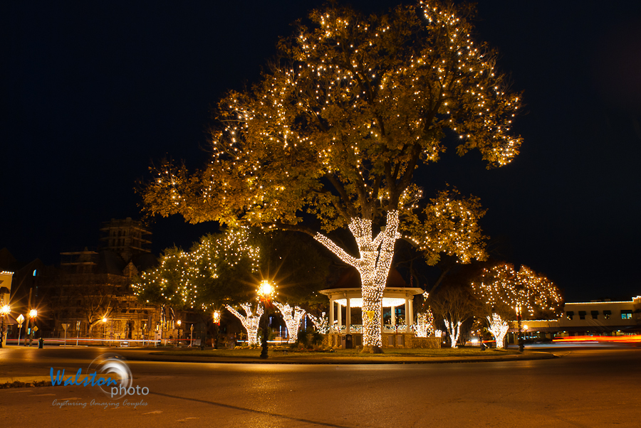 nb_lights-8.jpg