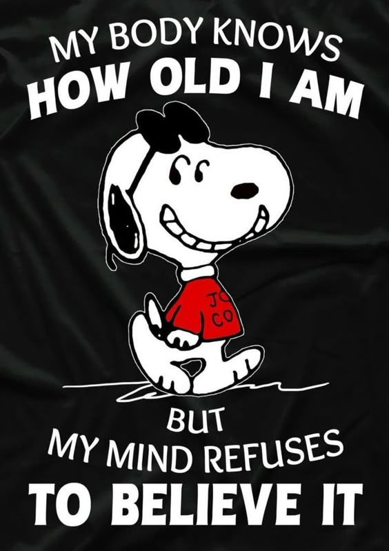 0ca288881a1e6c1c80c9d9dbeeab2e79.jpg