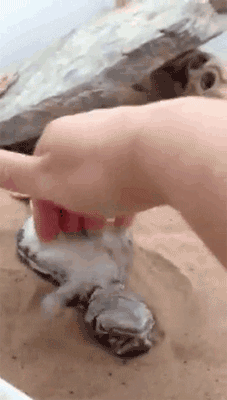 stop-it-stop-it-im-too-ticklish