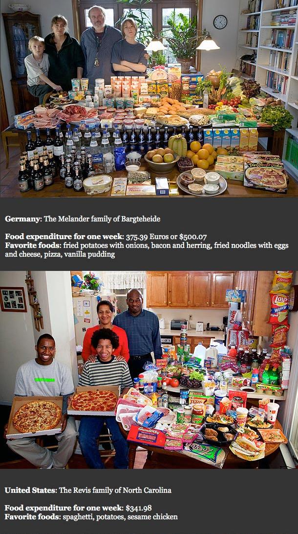 foodfamilies1.JPG