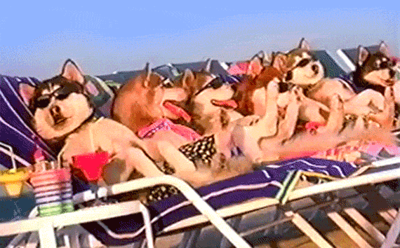 summer.gif