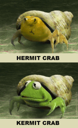 ani_kermit-crab.gif
