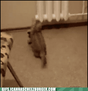 bouncey