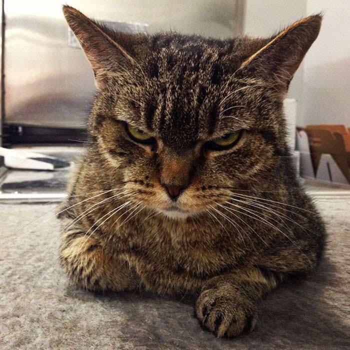 angry-1.jpg