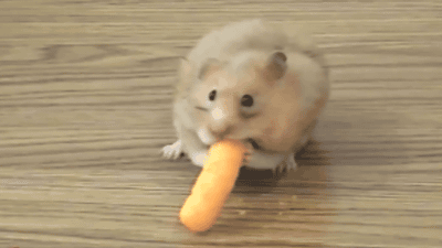1638c4515526ecdad29f0e43860ba45b.gif