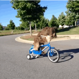 bc46be226cc8d4d4984a4b8a0538fcf9.gif