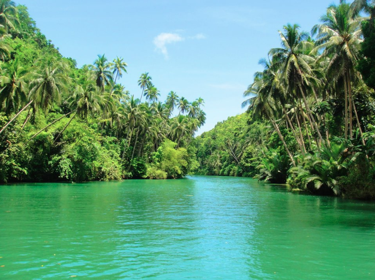 Loboc_river.png