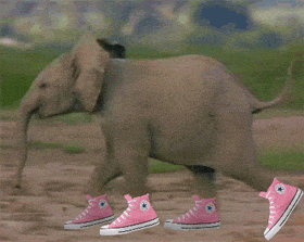 SWKyABQ08mbXW.gif