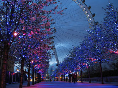 blue-colorful-pink-pretty-trees-Favim.com-139925.jpg