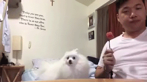 dont-look