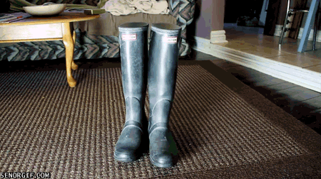 gif-puss-in-boots
