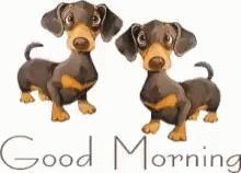 04c9a1ab5d8aad76c1b51fa5345070d3.gif