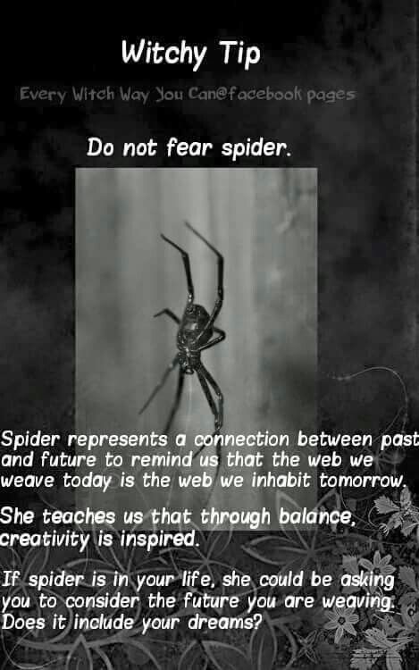 8a0d790a6cff0db0e2c5385ed3a3148e.jpg