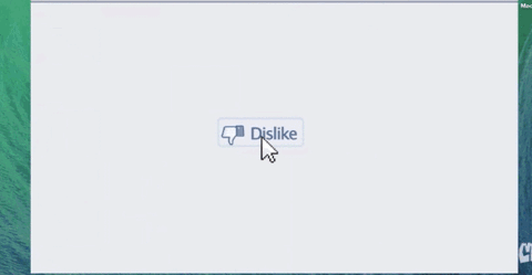 giphy.gif