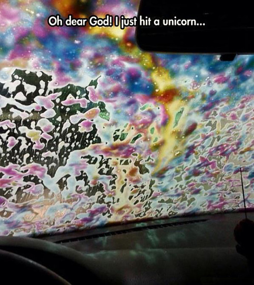 car-hits-unicorn.jpg