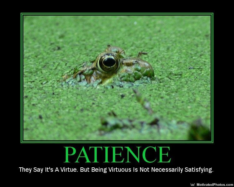 patience.jpg