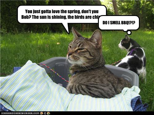 spring.jpg