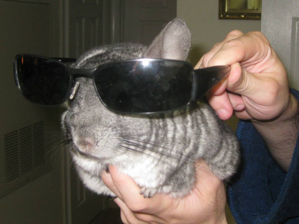 j1nIqts.jpg