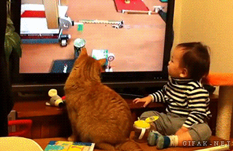 363f96d72b0247b053e96ecc4a1f4924.gif